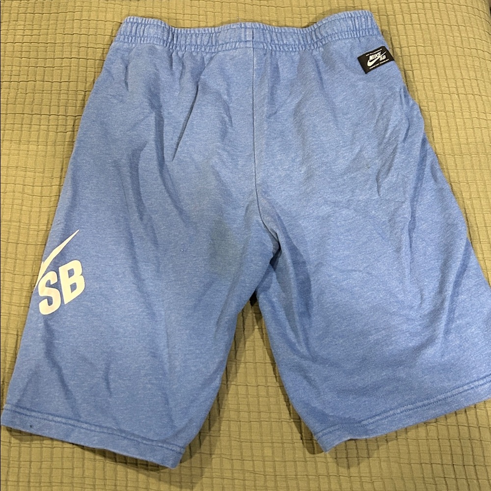 Nike SB Light Blue Athletic Shorts